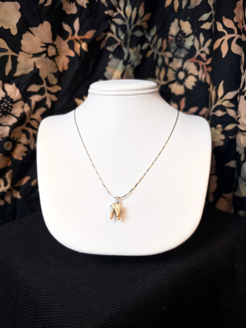 Raccoon Tooth Necklace