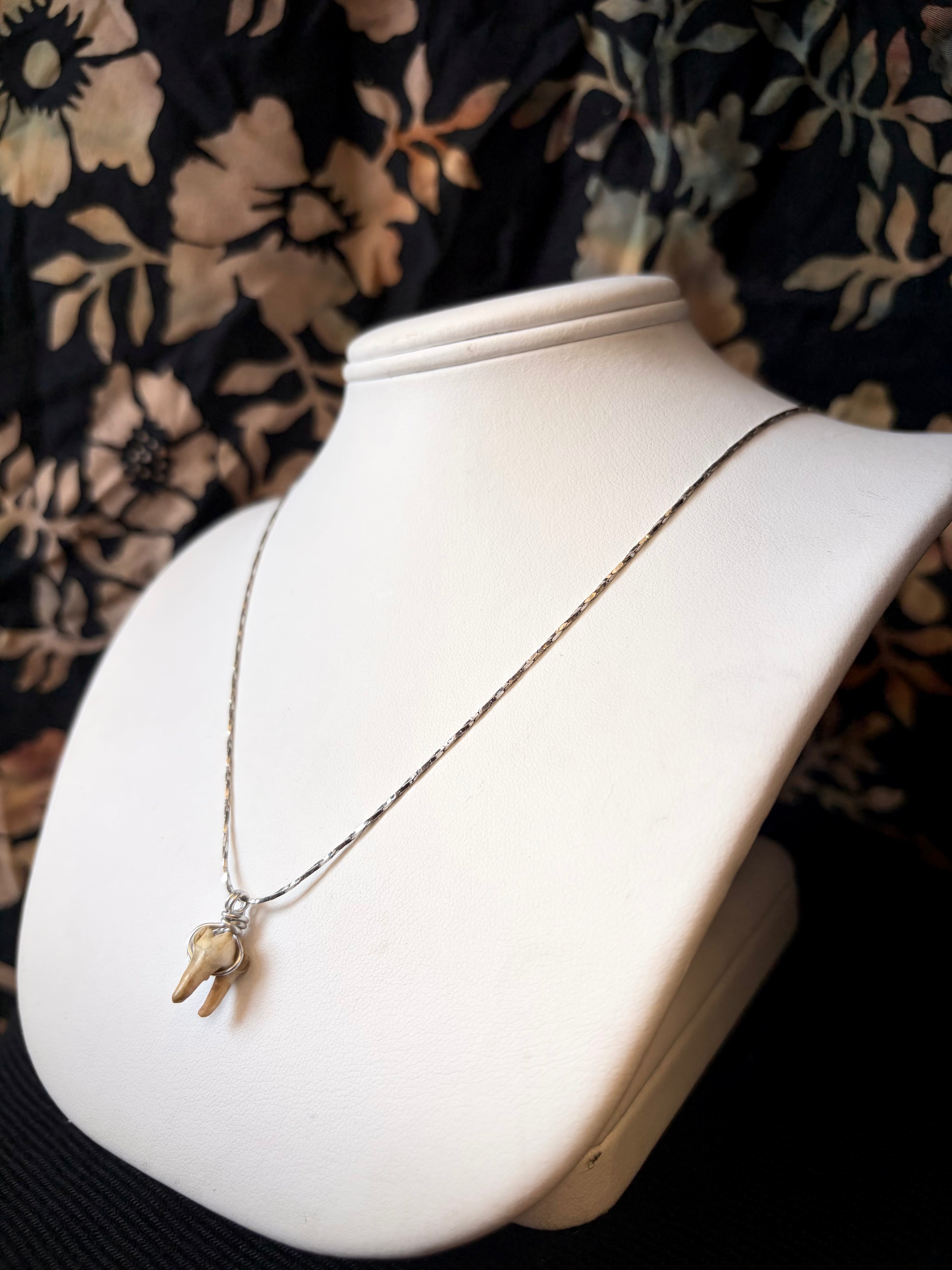 Raccoon Tooth Necklace