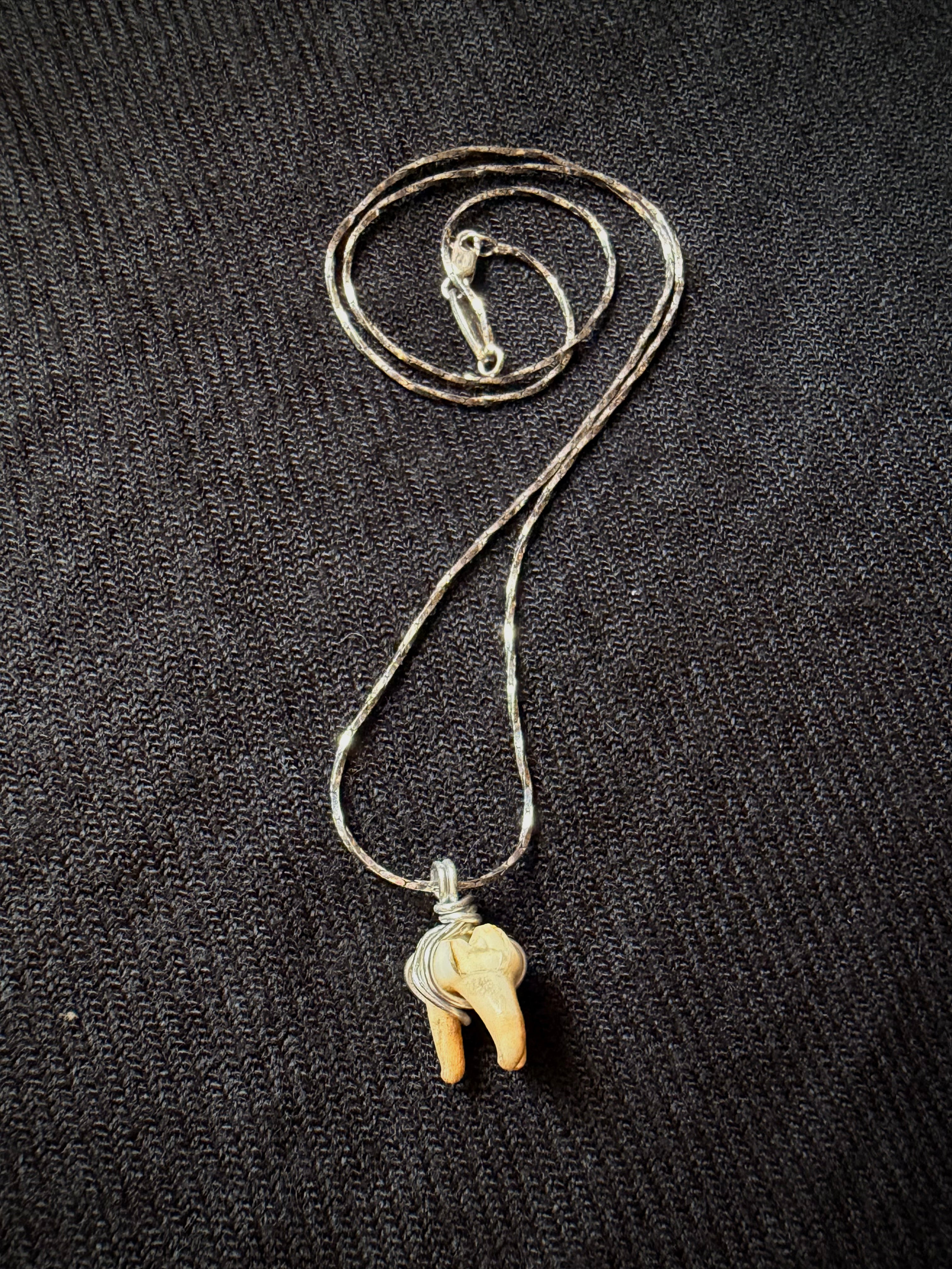 Raccoon Tooth Necklace