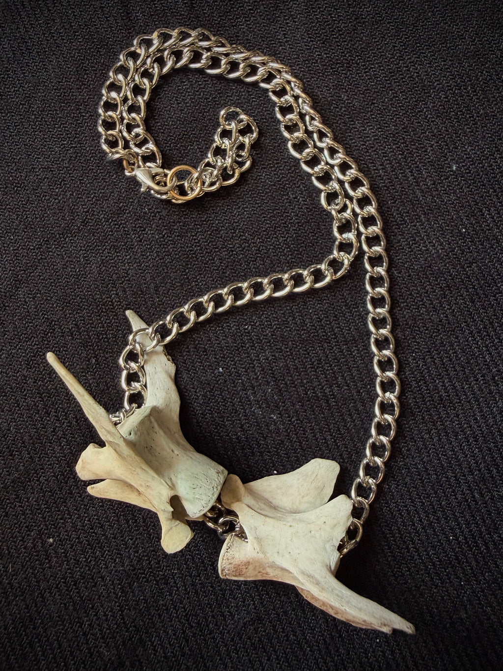 Deer Vertebrae Necklace