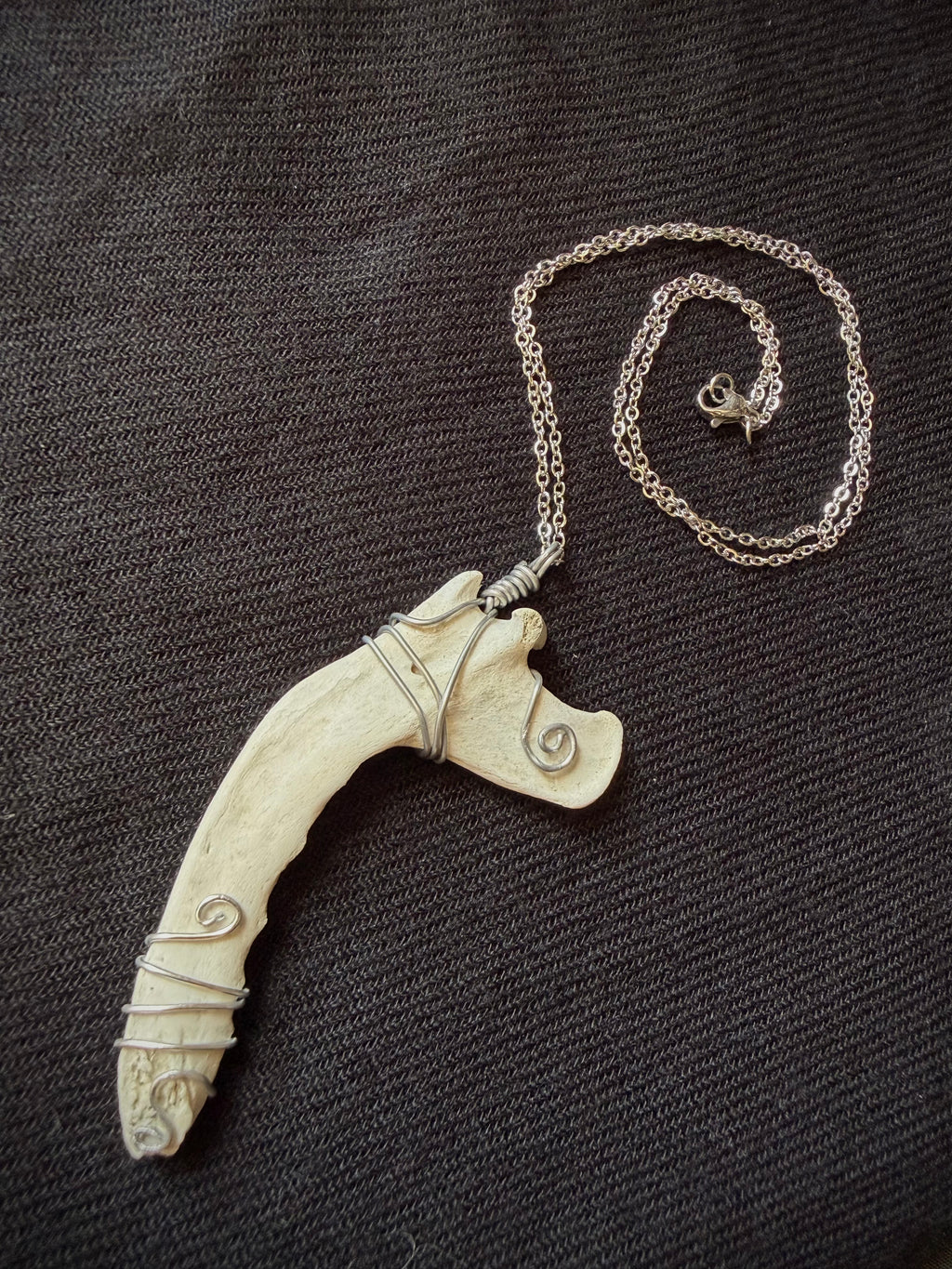 Raccoon Jaw Bone Necklace